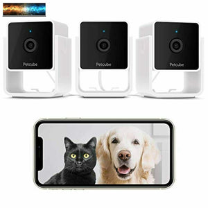 Petcube [New 2020] Cam Pet Monitoring Camera with Built-in Vet Chat for Cats & D