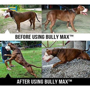 Bully Max The Ultimate Canine Supplement. Vet-Approved Muscle Builder for Dogs.