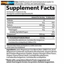 Load image into Gallery viewer, Garden of Life Dr. Formulated Whole Food Magnesium 419.5g Powder - Orange, Chela
