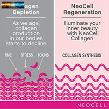 이미지를 갤러리 뷰어에 로드 , NeoCell Super Collagen Powder, French Vanilla 7oz, Non-GMO, Grass Fed, Paleo Fri
