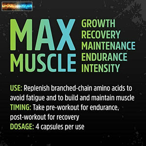 Zhou Muscle BCAA | Branched Chain Amino Acids | Build Muscle, Improve Recovery,