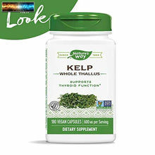 將圖片載入圖庫檢視器 Nature&#39;s Way Kelp 600 mg Non-GMO Project Verified Gluten Free Vegetarian; 180 Co
