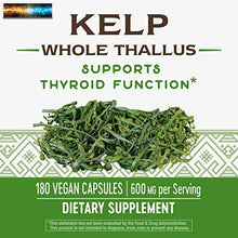 將圖片載入圖庫檢視器 Nature&#39;s Way Kelp 600 mg Non-GMO Project Verified Gluten Free Vegetarian; 180 Co
