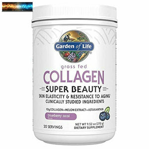 Garden of Life Grass Fed Collagen Super Beauty Powder - Blueberry Acai, 20 Servi