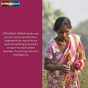 Organic India Curcuma Curcumina Erboristico Supplemento - Articolazioni Mobilità