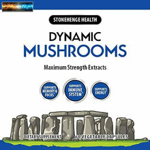 將圖片載入圖庫檢視器 Stonehenge Health Dynamic Funghi - 100% Fruiting Parti &amp; Estratti - Leone ’ S
