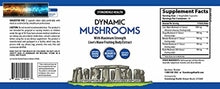 將圖片載入圖庫檢視器 Stonehenge Health Dynamic Funghi - 100% Fruiting Parti &amp; Estratti - Leone ’ S
