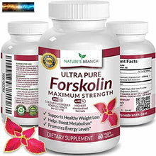 Carica l&#39;immagine nel visualizzatore di Gallery, Premium 100% Ultra Puro Forskolin Per Peso Perdita Max Forza W/ 40% Standardiz
