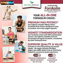 Carica l&#39;immagine nel visualizzatore di Gallery, Premium 100% Ultra Puro Forskolin Per Peso Perdita Max Forza W/ 40% Standardiz
