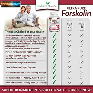 Premium 100% Ultra Puro Forskolin Per Peso Perdita Max Forza W/ 40% Standardiz