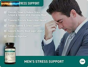 NatureWise Multivitamine pour Hommes Journalier Stress Support Avec Sensoril