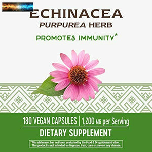 Nature's Way Echinacea Purpurea Erba, 1,200 MG per Porzione, 180 Pillole