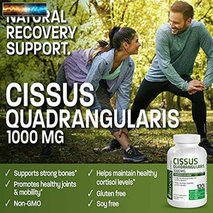 Bronson Cissus Quadrangularis Extrakt 1000 MG Kapseln - Stark Knochen & Gesund