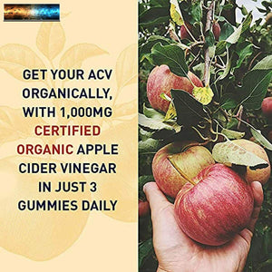 Apple Cider Vinegar Energy Gummies by Garden of Life mykind Organics - USDA Orga