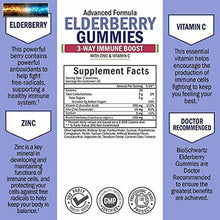Carica l&#39;immagine nel visualizzatore di Gallery, Elderberry Gummies with Zinc &amp; Vitamin C - Immune Support Black Sambucus Elderbe
