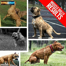 Load image into Gallery viewer, Vita Bully Vitamins for bully Breeds: Pit Bulls, American Bullies, Exotic Bullie
