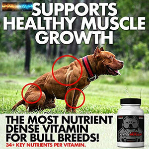 Vita Bully Vitamins for bully Breeds: Pit Bulls, American Bullies, Exotic Bullie