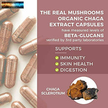 이미지를 갤러리 뷰어에 로드 , Real Mushrooms Kapseln für Verdauung Gesundheit Und Immune Stütze (120ct) Vegan
