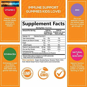 Kids Immune Support Gummies with Vitamin C, Echinacea and Zinc - Children's Supp