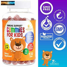 Load image into Gallery viewer, Kids Immune Support Gummies with Vitamin C, Echinacea and Zinc - Children&#39;s Supp
