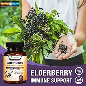 Elderberry Capsules 1200mg Super Concentrated Sambucus Extract Supplement - Immu