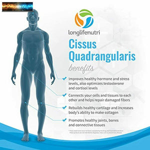 Cissus Quadrangularis Extract | 180 Vegetarian Capsules | Supplement for Rebuild