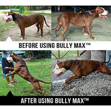 이미지를 갤러리 뷰어에 로드 , Bully Max The Ultimate Canine Supplement. Vet-Approved Muscle Builder for Dogs

