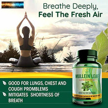 이미지를 갤러리 뷰어에 로드 , Molène Feuille Capsules Extrait - Herbes Poumons Supplément pour Respiratoire
