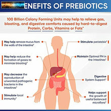 將圖片載入圖庫檢視器 Organisches Probiotika 100 Milliarde Cfu , Dr.Formuliert für Damen,
