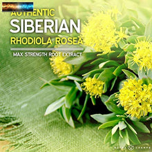 Carica l&#39;immagine nel visualizzatore di Gallery, Rhodiola Rosea Supplément 600mg - 120 Capsules Sibérien Root Extrait 3%
