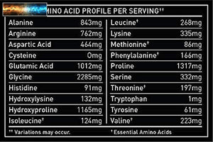 Premium Kollagen Peptide Pulver (1, 2, 3, 5 & 10) Multi Kollagen Protein + Vita