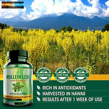 Load image into Gallery viewer, Mullein Leaf Capsules Extract - Herbal Lungs Supplement for Respiratory Health
