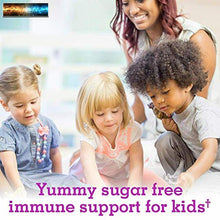 Load image into Gallery viewer, Garden of Life Kids Organic Elderberry Plus Vitamin C Gummy for Immune Support
