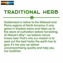 Carica l&#39;immagine nel visualizzatore di Gallery, Nature&#39;s Way Premium Herbal Goldenseal Herb, 800 mg per serving, 100 Capsules
