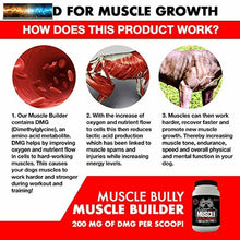 將圖片載入圖庫檢視器 Muscle Builder for Bullies, Pitbulls,Bull Breeds - Contains Proven muscle Buildi
