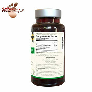 Pycnogenol 100mg from French Maritime Pine Bark Extract - Great for Healthy Circ