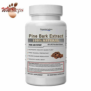 Superior Labs – Pine Bark Extract – Superior Circulatory Health - 200mg, 95%