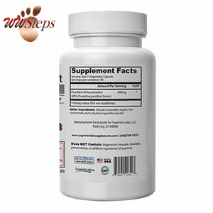 Superior Labs – Pine Bark Extract – Superior Circulatory Health - 200mg, 95%