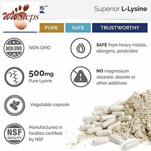 Superior Labs – Best L-Lysine NonGMO - Dietary Supplement –500 mg Pure Activ