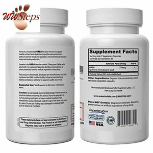 Superior Labs | GABA Supplement 750mg | Maximum Strength Mood Enhancement | Natu
