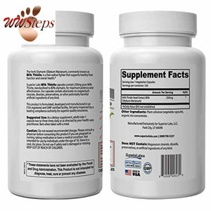 Superior Labs Milk Thistle NonGMO - 80% Silymarin Flavonoids - Powerful Formula