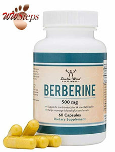 Berberine HCL 500mg, Powerful AMPK Activator, Blood Sugar Support (Vegetarian, G