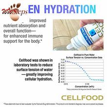 Load image into Gallery viewer, Cellfood Liquid Concentrate, 1 oz. - Original Oxygenating Immune Support Formula
