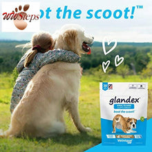 이미지를 갤러리 뷰어에 로드 , Glandex Anal Gland Soft Chew Treats with Pumpkin for Dogs 30ct Chews with Digest
