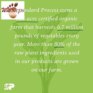 Standard Process Catalyn - Whole Food Foundational Support for General Wellbeing