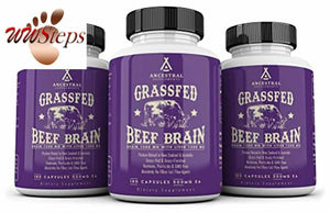 Ancestral Supplements Grass Fed Brain (with Liver) — Supports Brain, Mood, Mem
