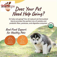 이미지를 갤러리 뷰어에 로드 , kin+kind Organic Fiber for Dogs &amp; Cats - Pumpkin Boost for Healthy Poops - Stoma
